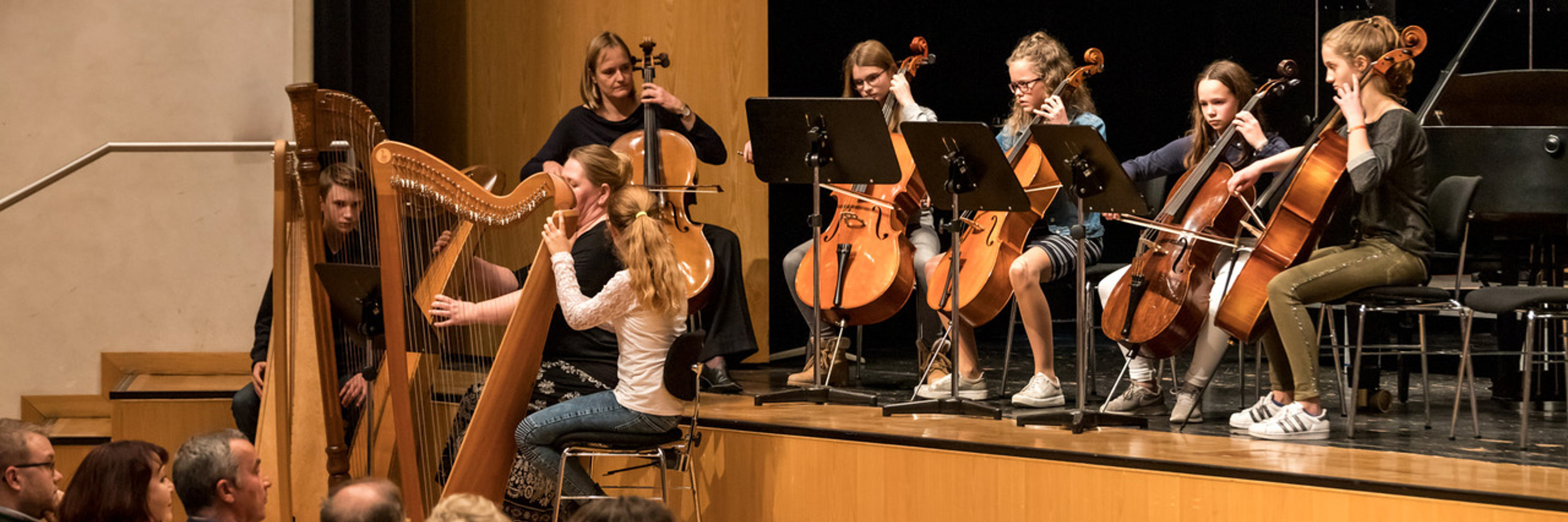 Streichensemble beim Konzert. Foto: Michael Handerer