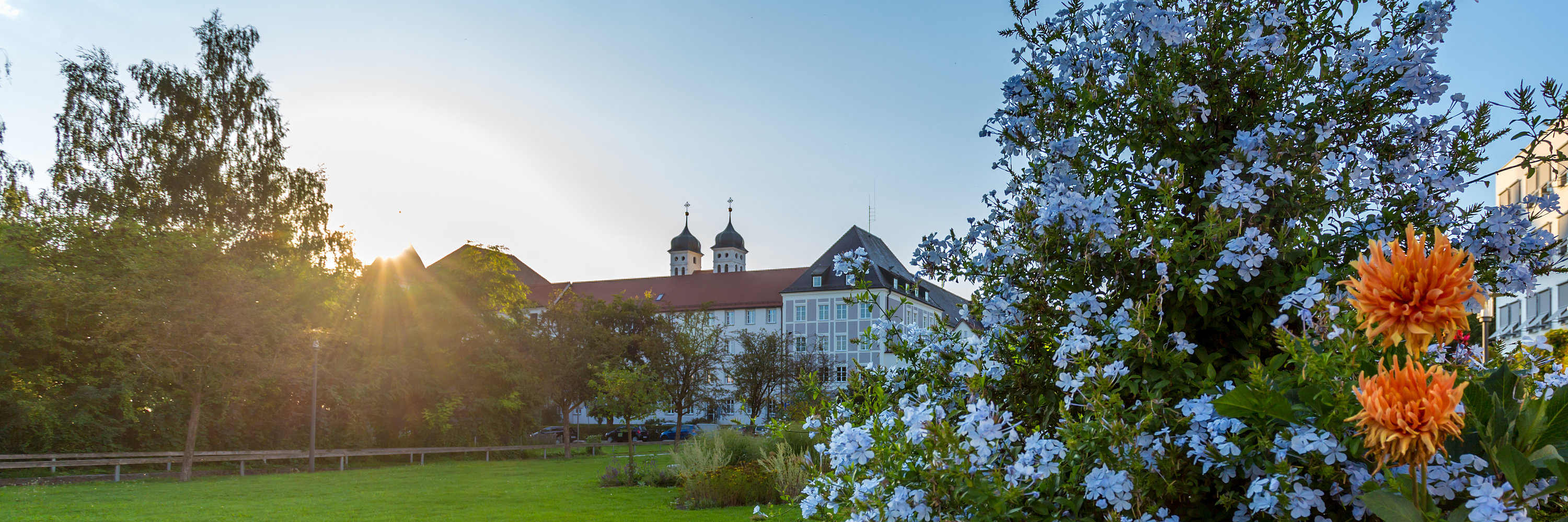 Hofgarten mit blauen Blumen. Foto: Philipp Röger für die Stadt Günzburg